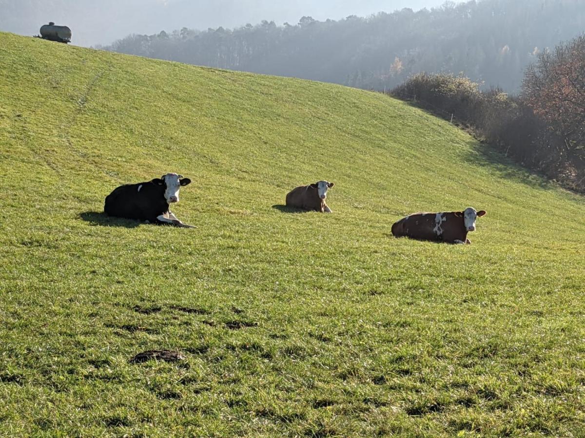 Ferienwohnungen Am Aeppelsberg Volkesfeld Exterior foto
